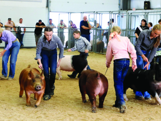Madison Co Fair